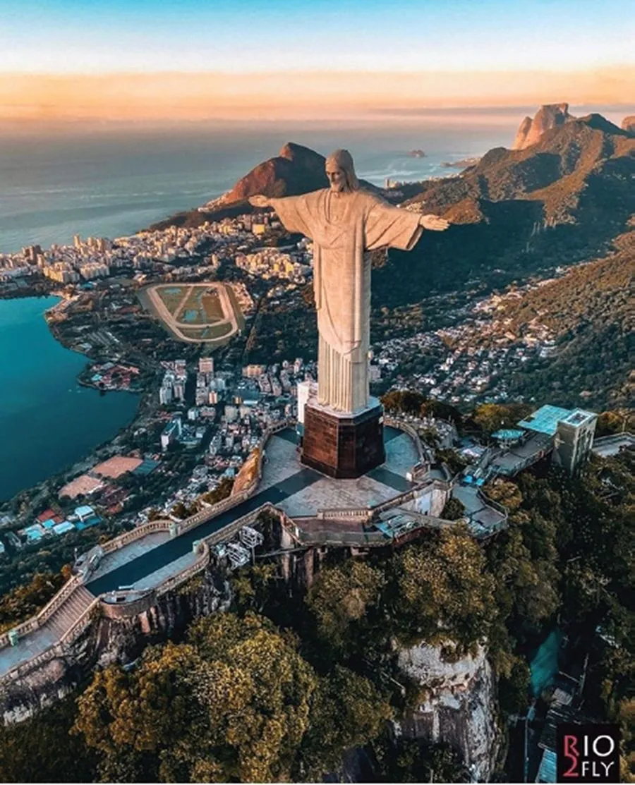 Coffee cup and Brazilian coffee landscape